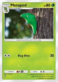 Metapod metapod
