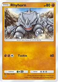 Rhyhorn rhyhorn