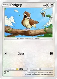 Pidgey pidgey