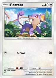 Rattata rattata