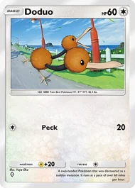 Doduo doduo