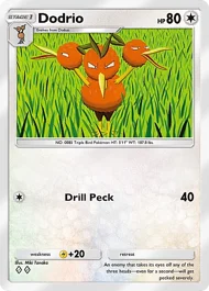 Dodrio dodrio