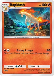 Rapidash rapidash