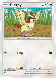 Pidgey pidgey