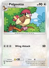 Pidgeotto pidgeotto