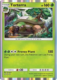 Torterra torterra