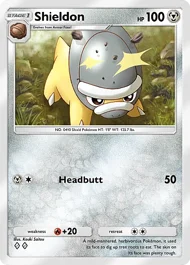 Shieldon shieldon