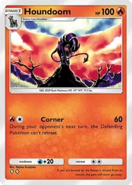 Houndoom houndoom