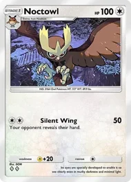Noctowl noctowl