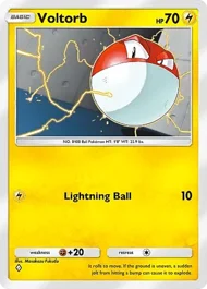 Voltorb voltorb