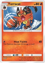 Torracat torracat
