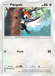 Pikipek pikipek