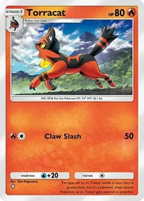 Torracat torracat