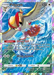 Pidgeot pidgeot
