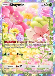 Shaymin shaymin